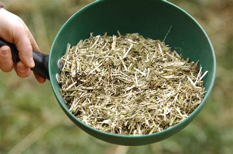 what to feed a horse with loose droppings